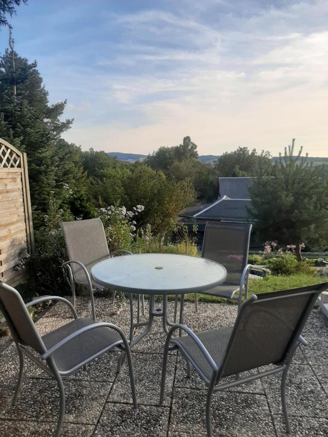 Haus Mit Ausblick 3 Schlafzimmer Wilkau-Hasslau Esterno foto